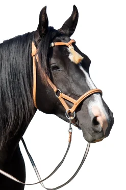 Outlet F.R.A. Freedom Riding Articles Shango sidepull (system 3) western-utseende, lær Western|Hodelag & Nesereimer