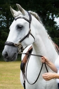 New F.R.A. Freedom Riding Articles Glory hodelag Hackamore med tøyler (system 2), brun Hackamores|Hodelag & Nesereimer