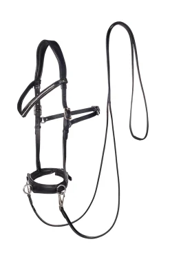 F.R.A. Freedom Riding Articles Wendy B kapsun, bitless bridle, lærtøyler med klips Hjelpetøyler Og Longeringssystemer|Hjelpetøyler Og Longeringssystemer