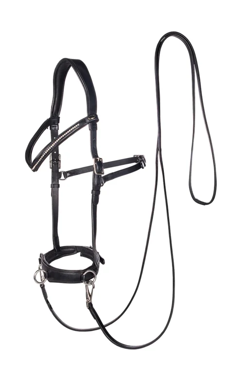 F.R.A. Freedom Riding Articles Wendy B kapsun, bitless bridle, lærtøyler med klips Hjelpetøyler Og Longeringssystemer|Hjelpetøyler Og Longeringssystemer