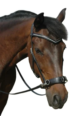 F.R.A. Freedom Riding Articles Wendy B kapsun, bitless bridle, lærtøyler med klips Hjelpetøyler Og Longeringssystemer|Hjelpetøyler Og Longeringssystemer
