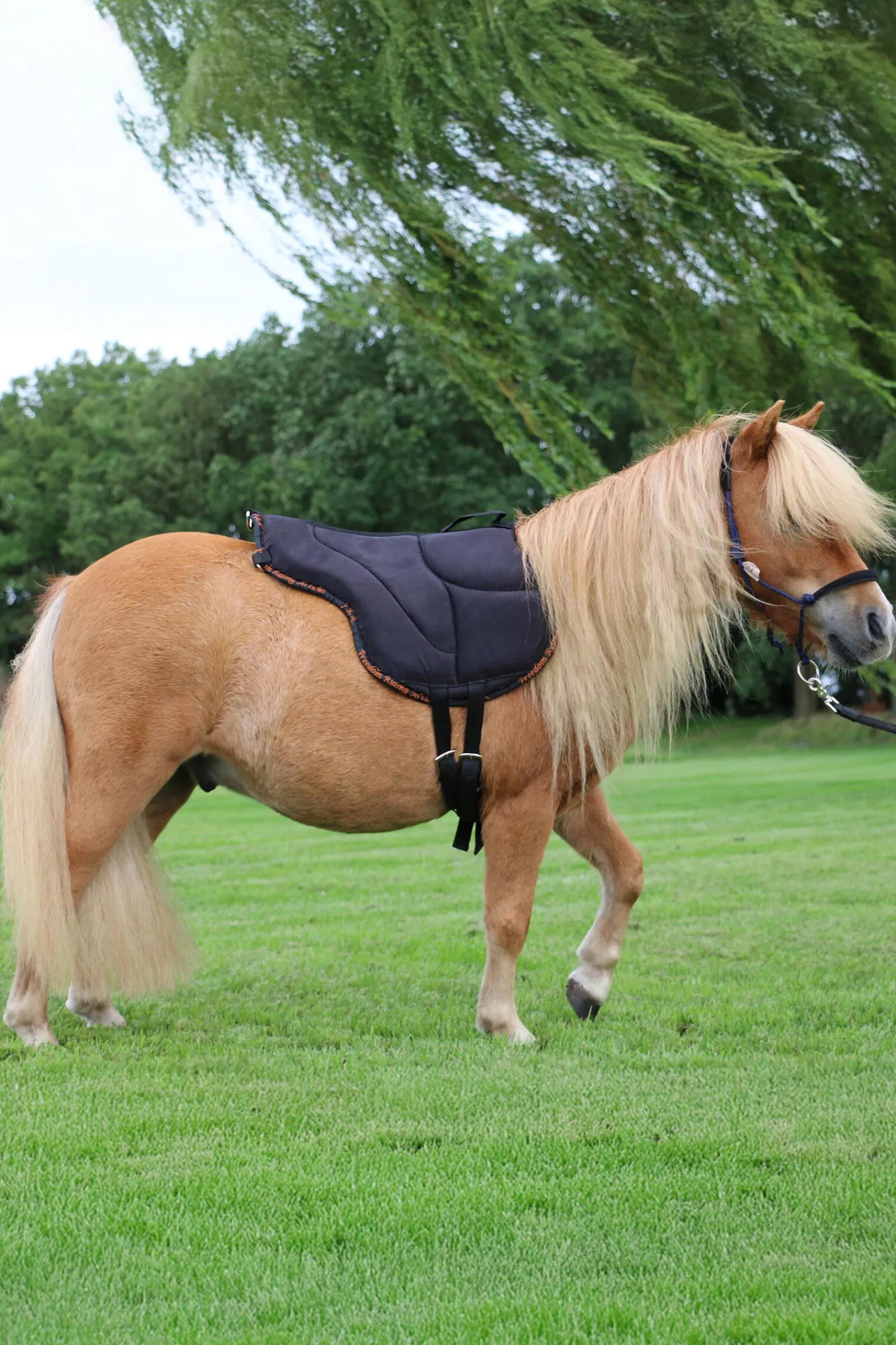 Outlet F.R.A. Freedom Riding Articles Dardo barbakpad (S) Saler