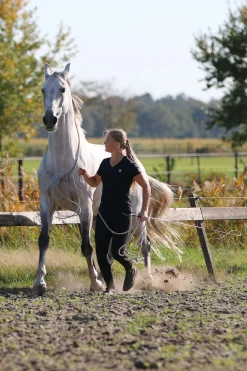 Best F.R.A. Freedom Riding Articles Flinn Treningstau i bomull, 820 cm Longeringsliner Og Doble Longeringsliner|Longeringsliner Og Doble Longeringsliner