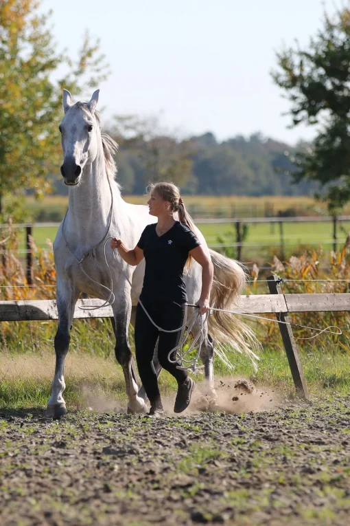 Best F.R.A. Freedom Riding Articles Flinn Treningstau i bomull, 820 cm Longeringsliner Og Doble Longeringsliner|Longeringsliner Og Doble Longeringsliner