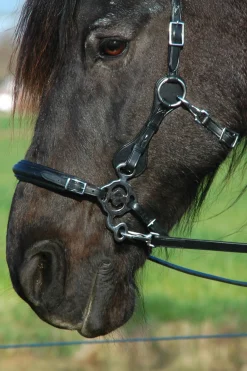 F.R.A. Freedom Riding Articles Calli hodelag Hackamore med tøyler (system 2) Hodelag & Nesereimer