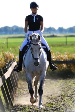 F.R.A. Freedom Riding Articles Calli hodelag Hackamore med tøyler (system 2) Hodelag & Nesereimer