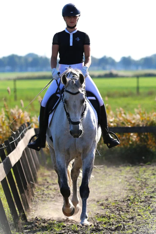 F.R.A. Freedom Riding Articles Calli hodelag Hackamore med tøyler (system 2) Hodelag & Nesereimer