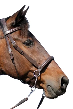 Hot F.R.A. Freedom Riding Articles El Camin bittless bridle (system 5) med myke tøyler Hodelag & Nesereimer