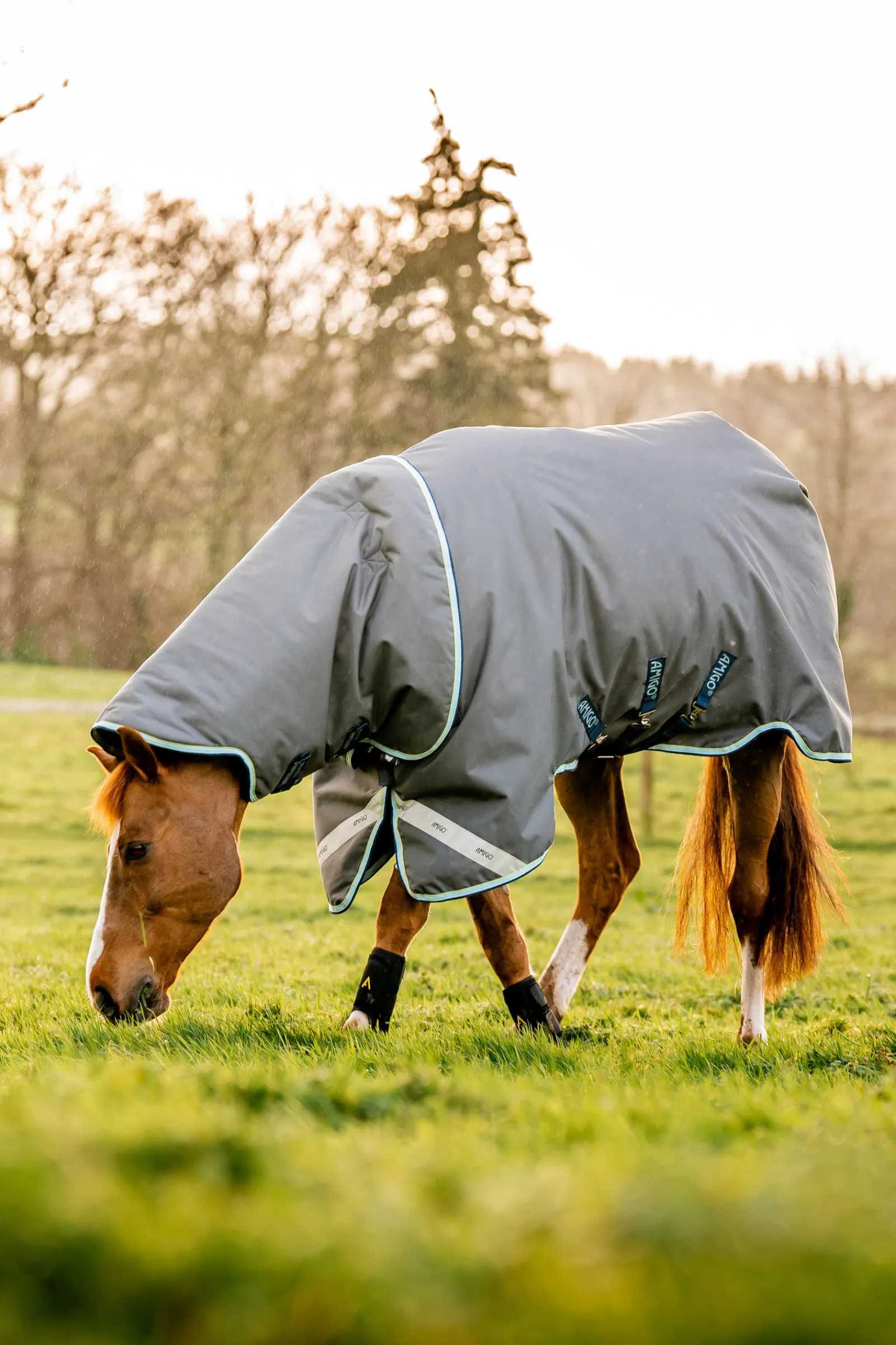Best Amigo Bravo 12 Plus utedekken med avtakbar hals, 400g Overgangsdekken & Vinterdekken
