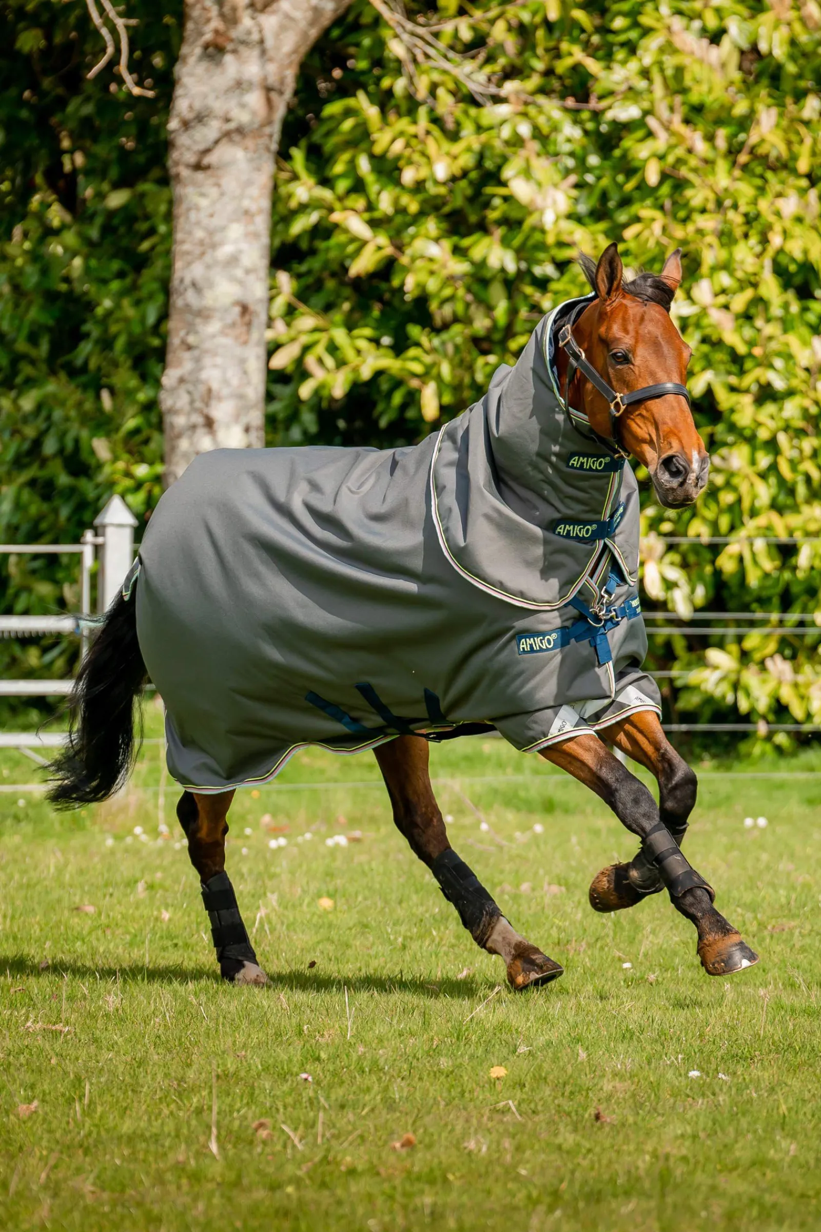 Discount Amigo Bravo 12 Plus utedekken, 250g Overgangsdekken & Vinterdekken