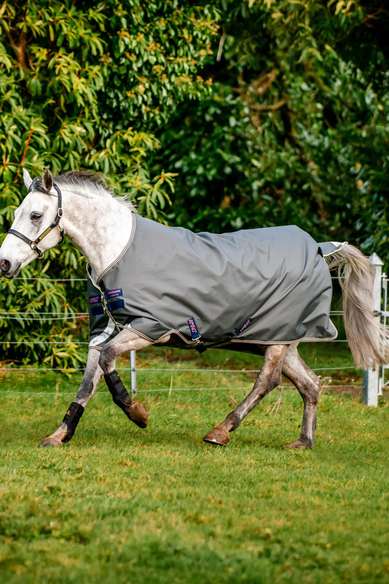 Sale Amigo Bravo 12 utedekken, 0 g Regndekken