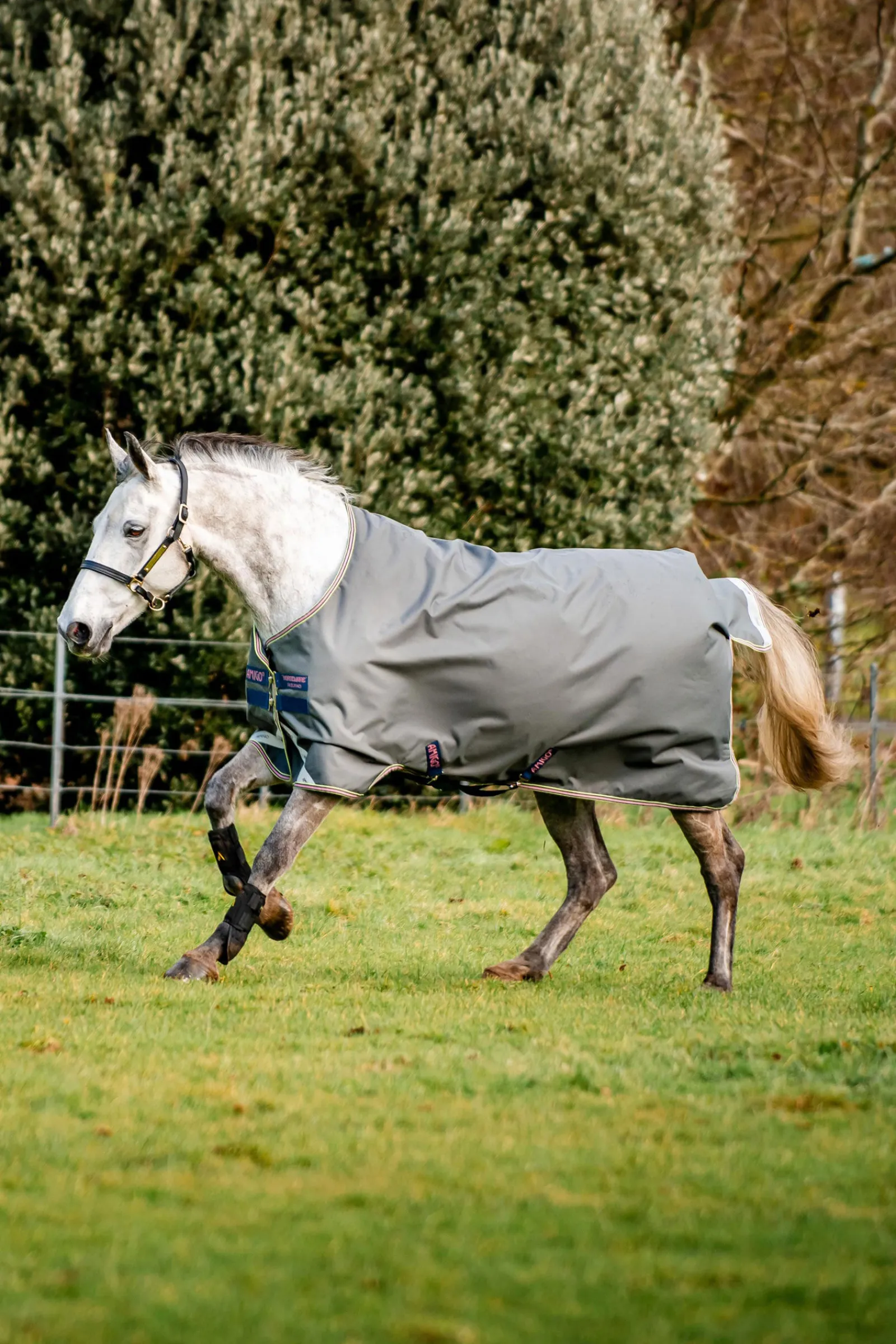 Sale Amigo Bravo 12 utedekken, 0 g Regndekken