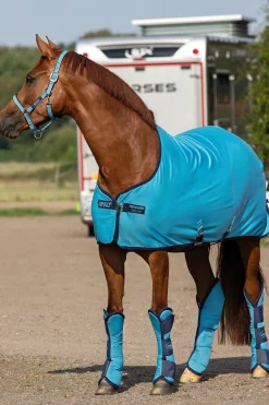 New Amigo Jersey Cooler Ulldekken Og Svettedekken