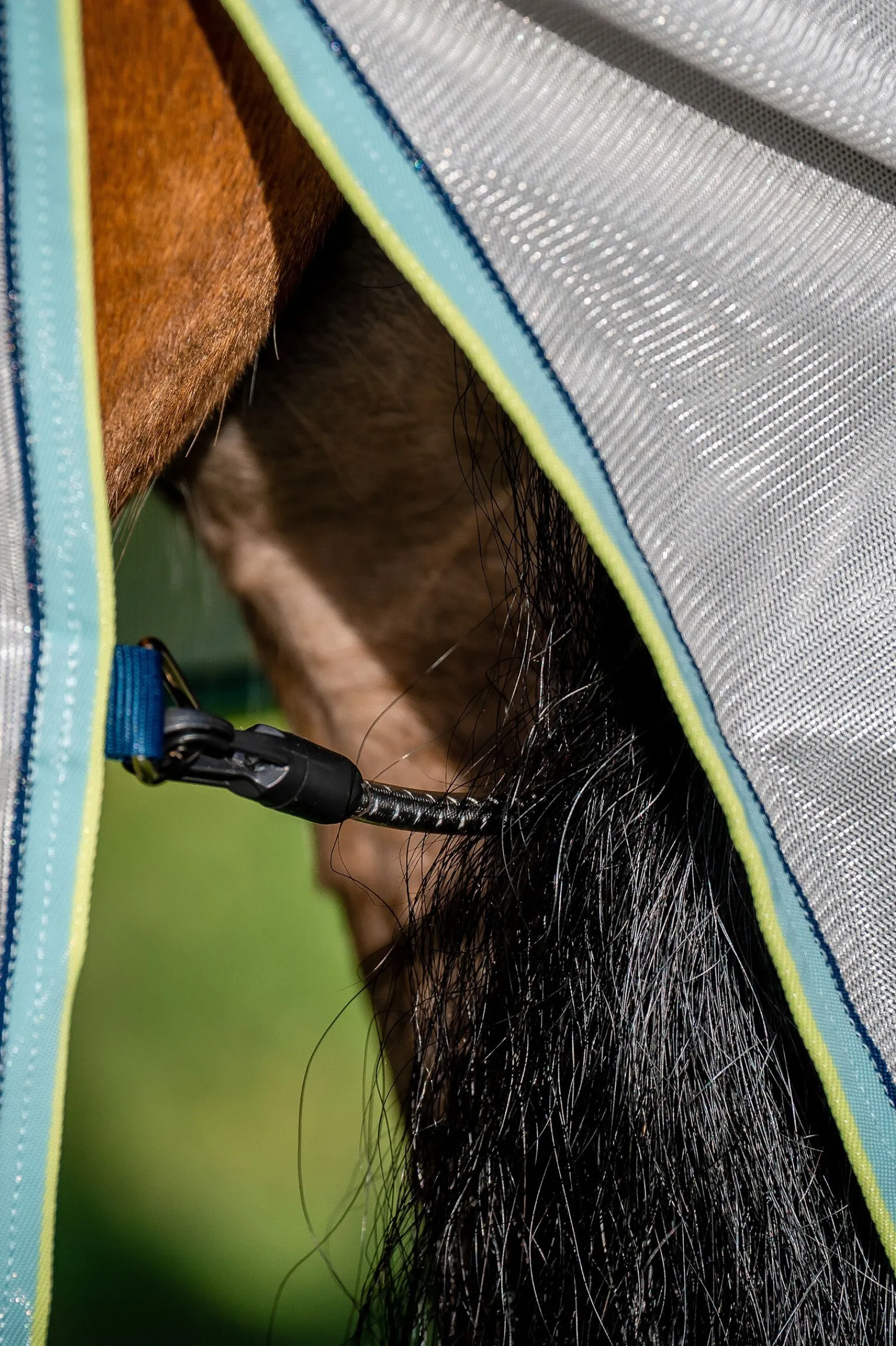 Clearance Amigo XL Fluedekken med Disc-lukking Insektsdekken|Insektsdekken