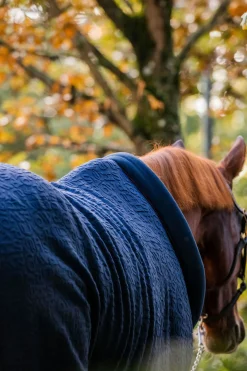 Hot dekorert cosy neck cooler Ulldekken Og Svettedekken