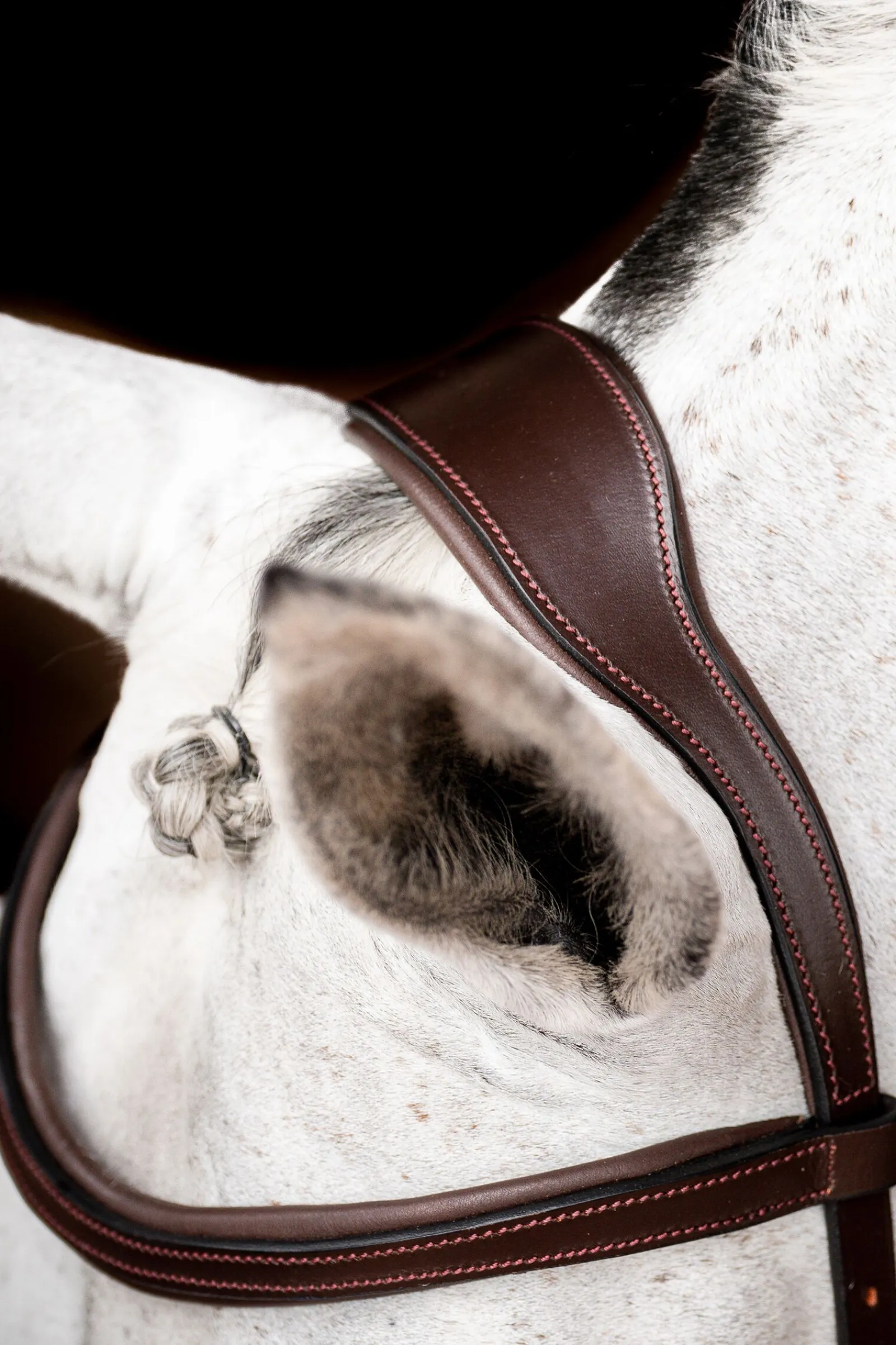 Online Micklem 2 Competition hodelag Ponni Hodelag Og Grimer|Hodelag & Nesereimer