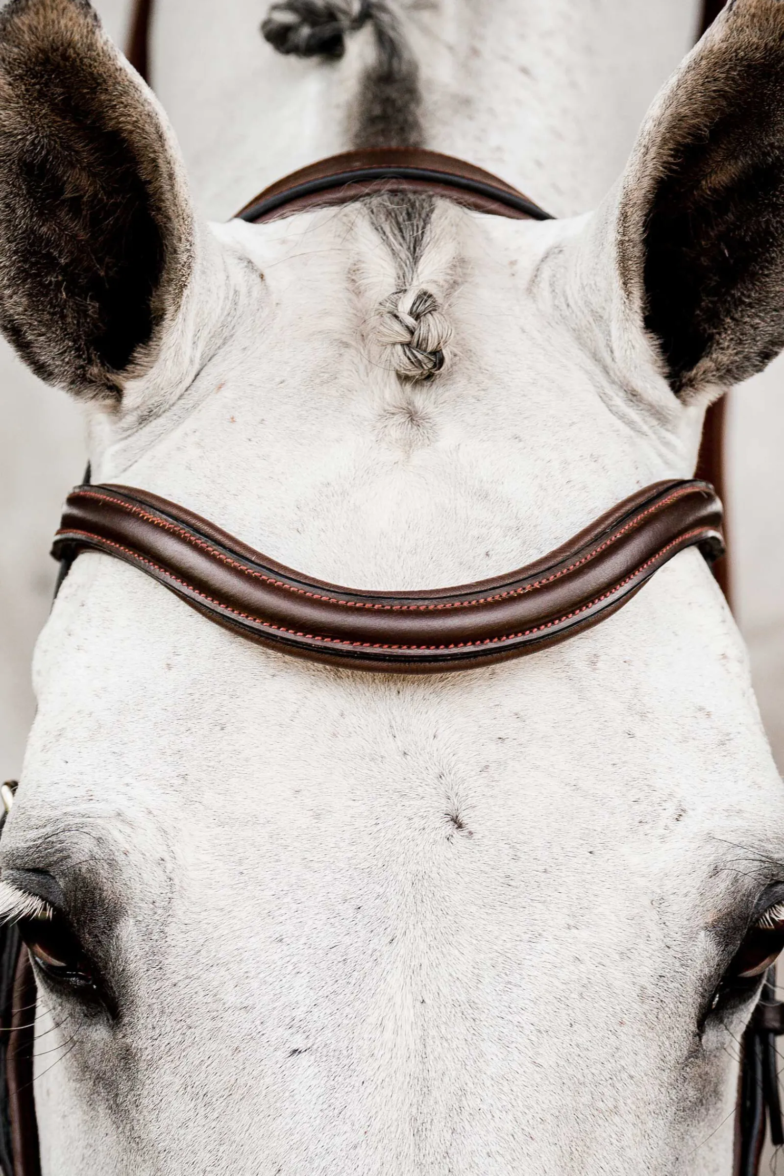 Online Micklem 2 Competition hodelag Ponni Hodelag Og Grimer|Hodelag & Nesereimer