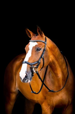 New Micklem 2 Diamante Competition Hodelag Ponni Hodelag Og Grimer|Hodelag & Nesereimer