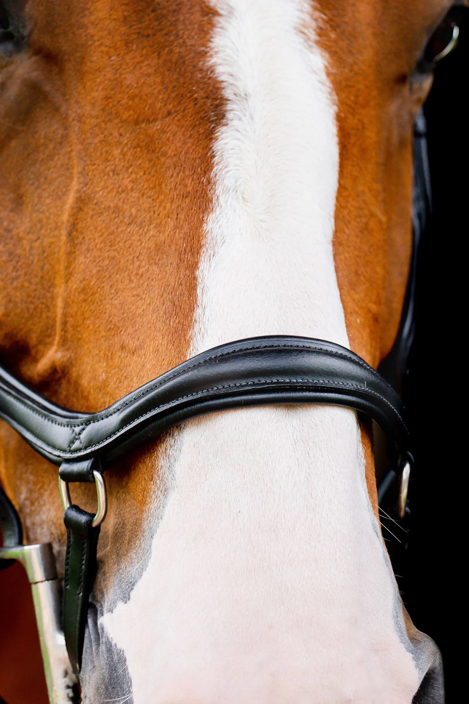 New Micklem 2 Diamante Competition Hodelag Ponni Hodelag Og Grimer|Hodelag & Nesereimer