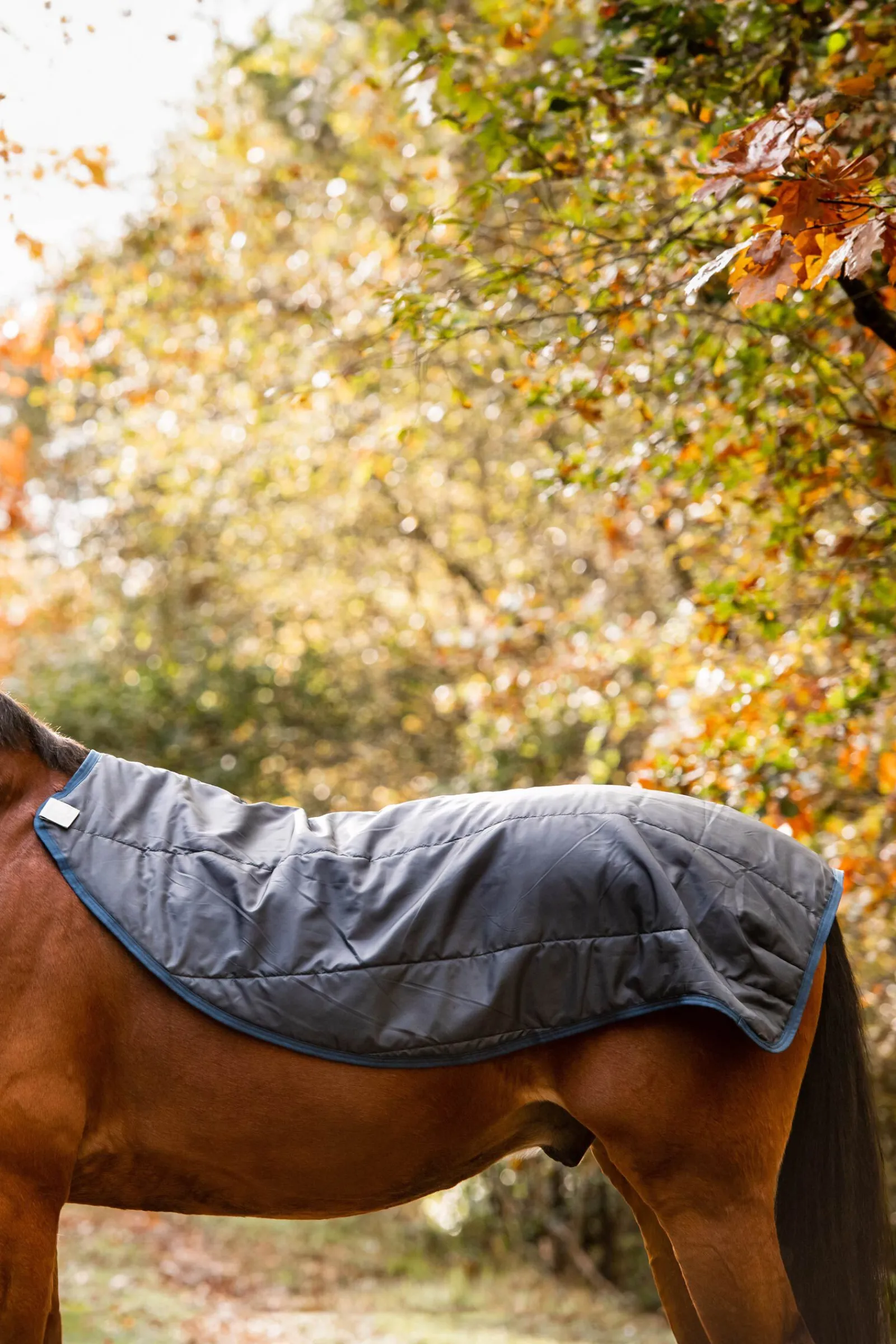 Hot Rambo Autumn Series utedekken med underdekken (0 g / 100 g) Regndekken