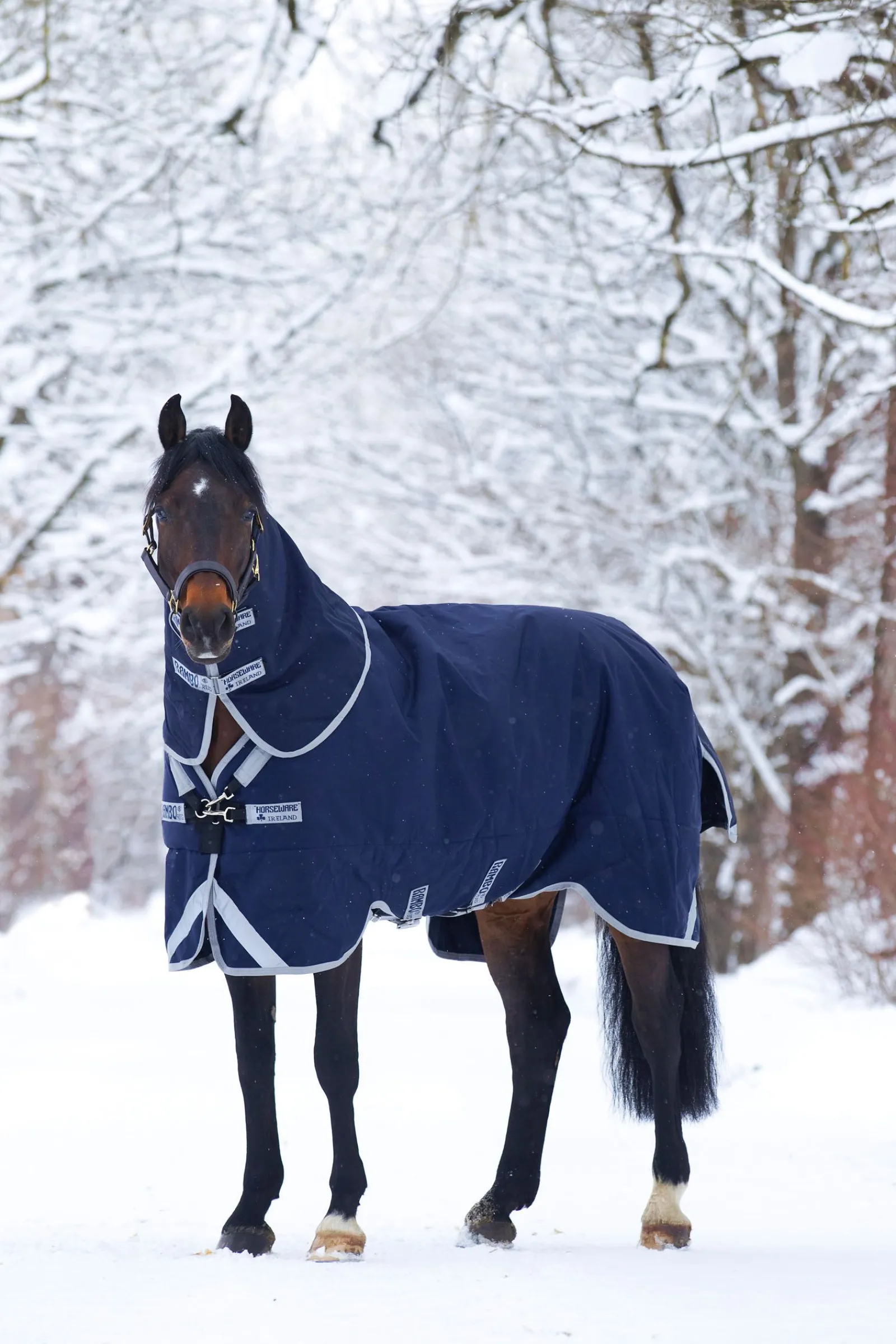 Clearance Rambo Original utedekken med beinbuer, 200 gram Overgangsdekken & Vinterdekken