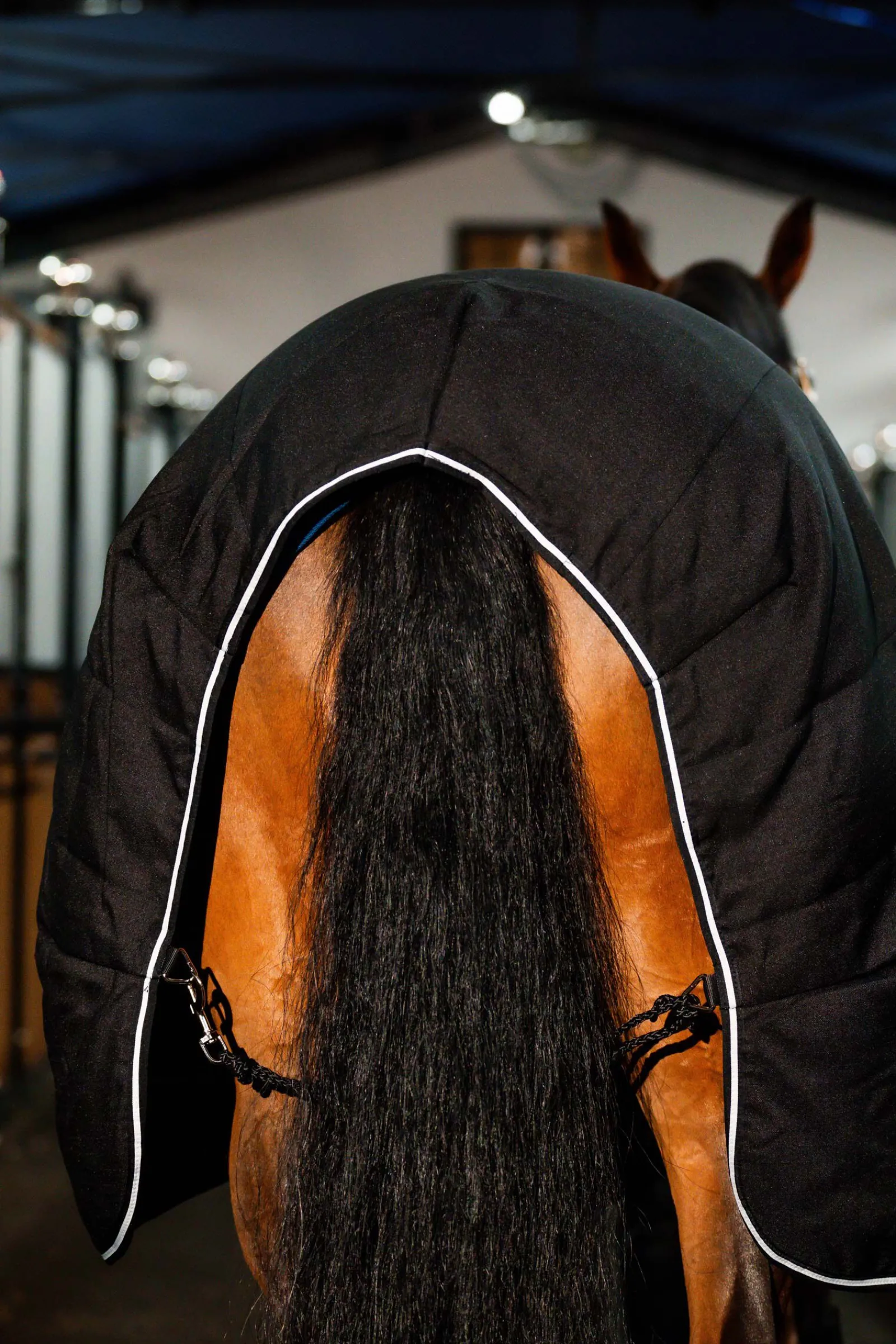 Sale Rambo stalldekken, 400g Stalldekken