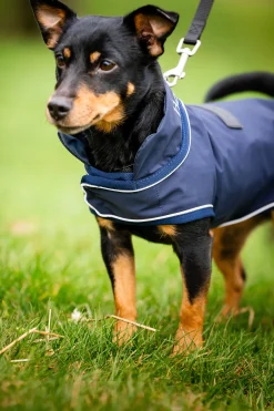 Outlet Signature Hunderegnfrakk Hundeklær Og Hundedekken
