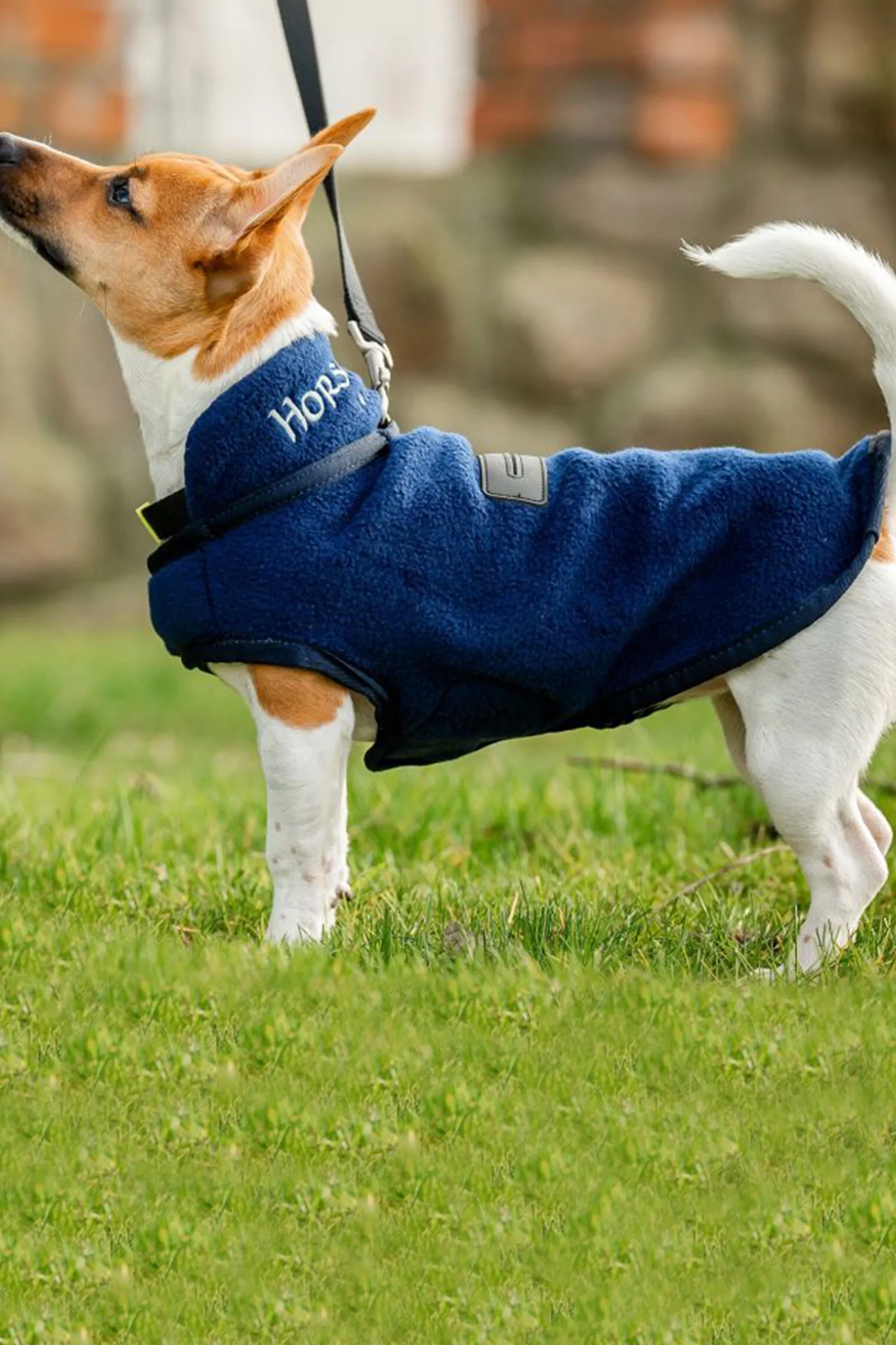 Signature Hundefleece-teppe Hundeklær Og Hundedekken
