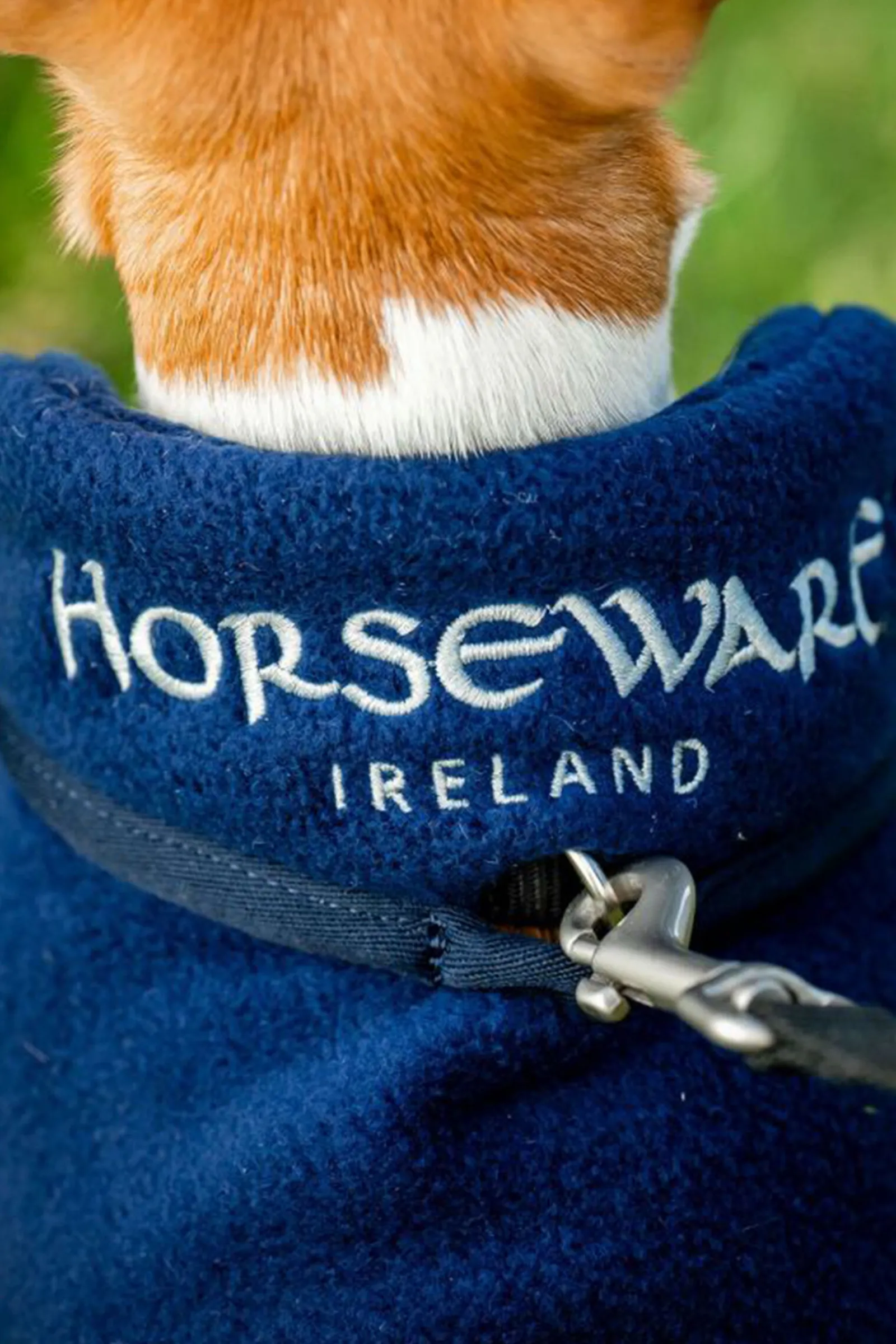 Signature Hundefleece-teppe Hundeklær Og Hundedekken