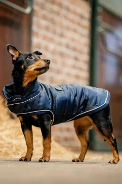 Best Signature Hundekappe Hundeklær Og Hundedekken