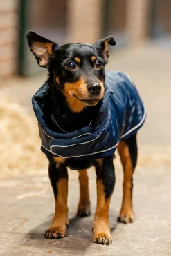 Best Signature Hundekappe Hundeklær Og Hundedekken
