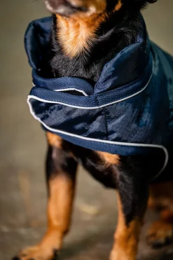 Best Signature Hundekappe Hundeklær Og Hundedekken