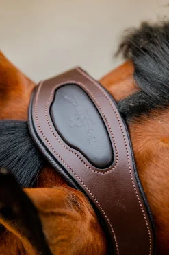 New Signature Show Halter Grimer