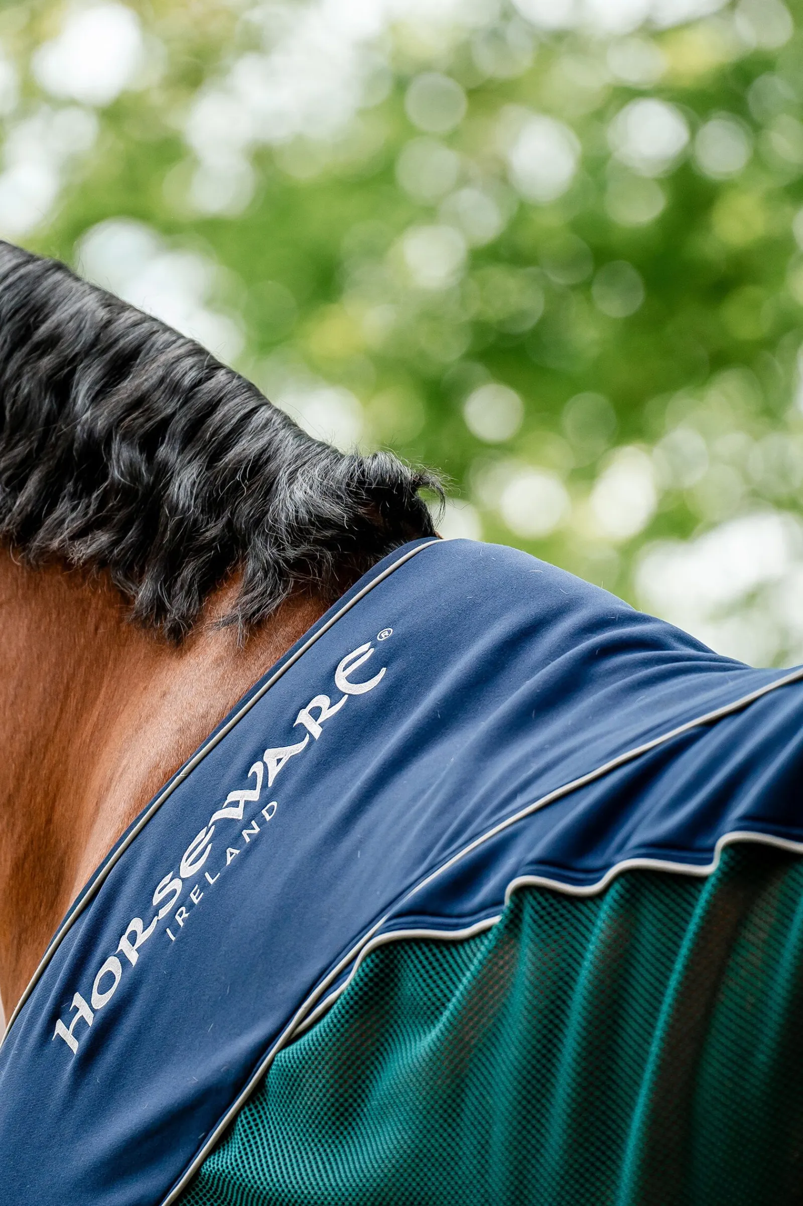 Signature Sport Svetteteppe Ulldekken Og Svettedekken