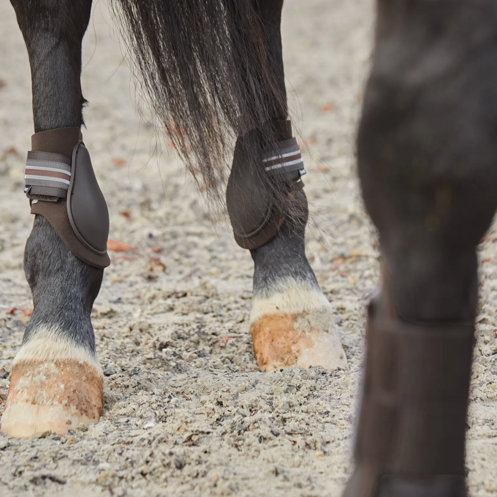 Sale Adepto bakbeinsbelegg Bakbeinsbelegg Og Stryksokker
