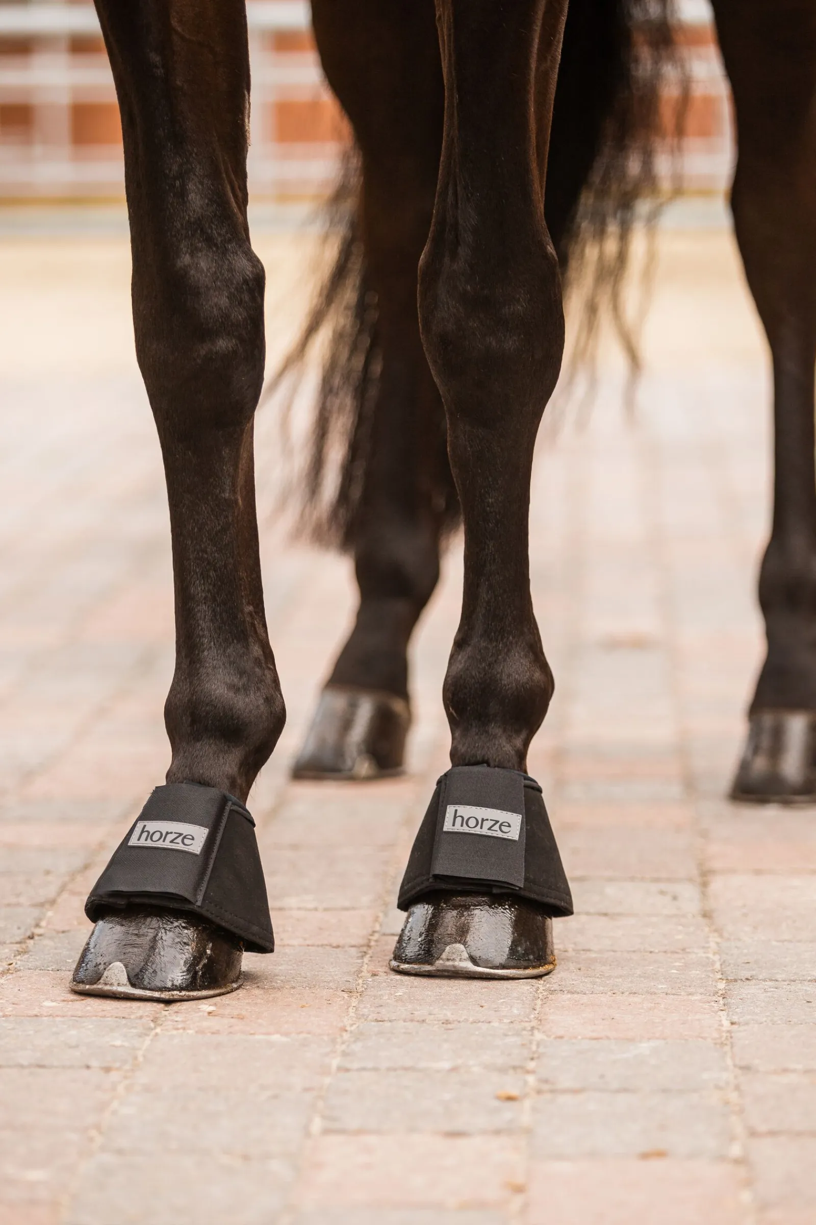 Discount allround kopper Ponni Belegg|Kopper Til Hest