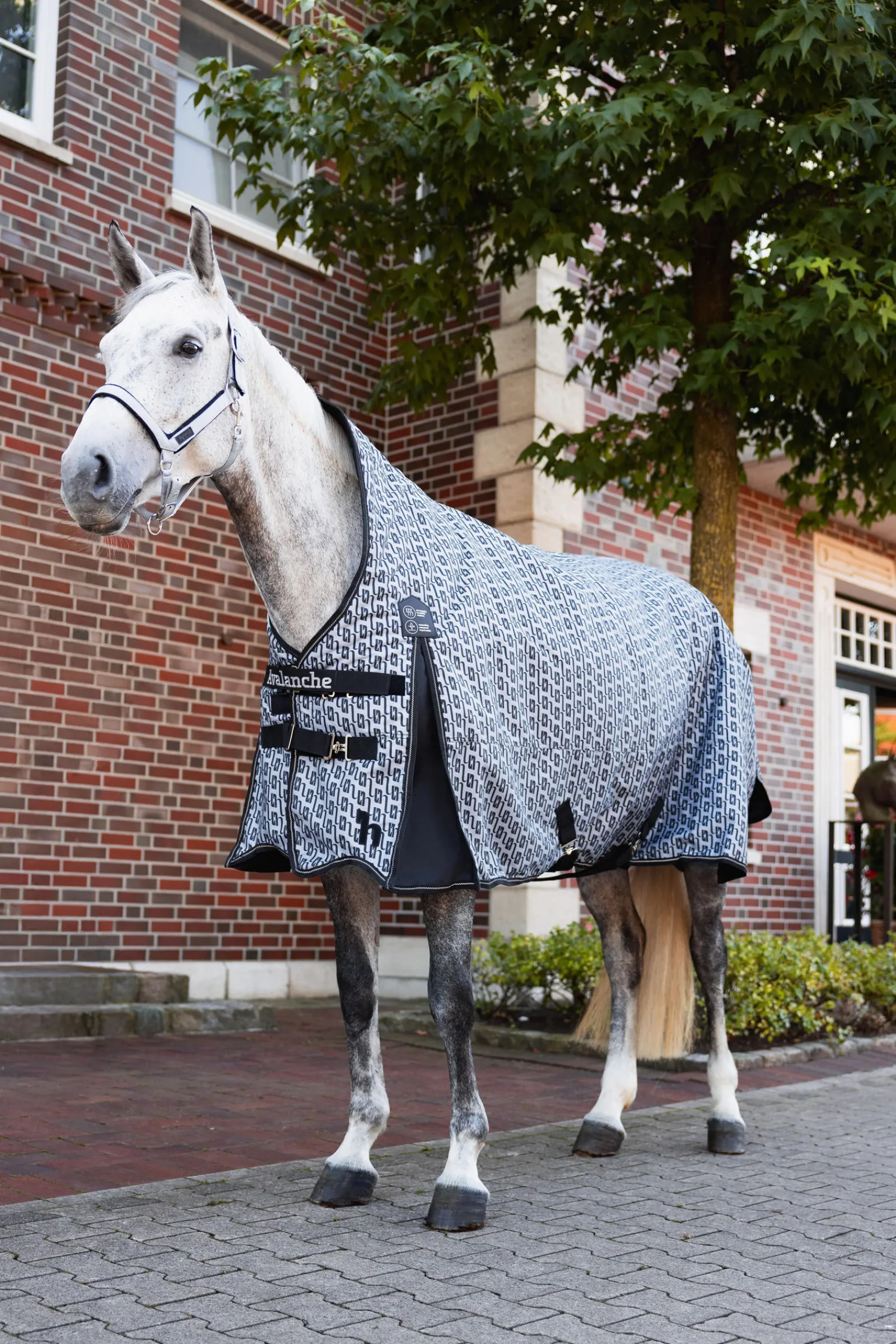 Hot Avalanche 1200D utedekken, tykt, 300g Overgangsdekken & Vinterdekken