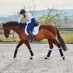Clearance Bandasjeunderlag, bak Bandasjeunderlag Til Hest