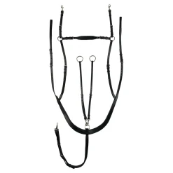 Hot Belgravia fortøy med kombinert martingal Fortøy