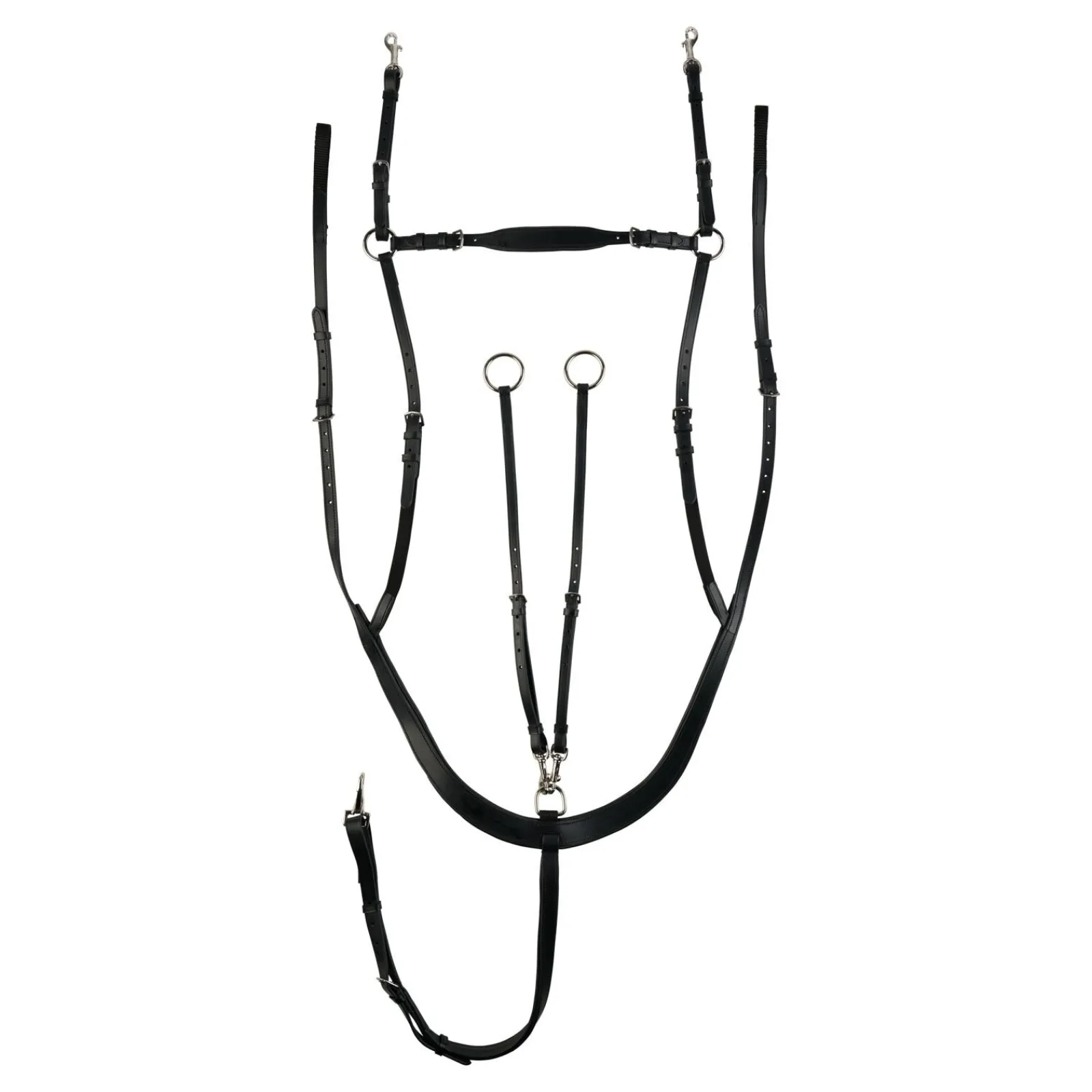 Hot Belgravia fortøy med kombinert martingal Fortøy