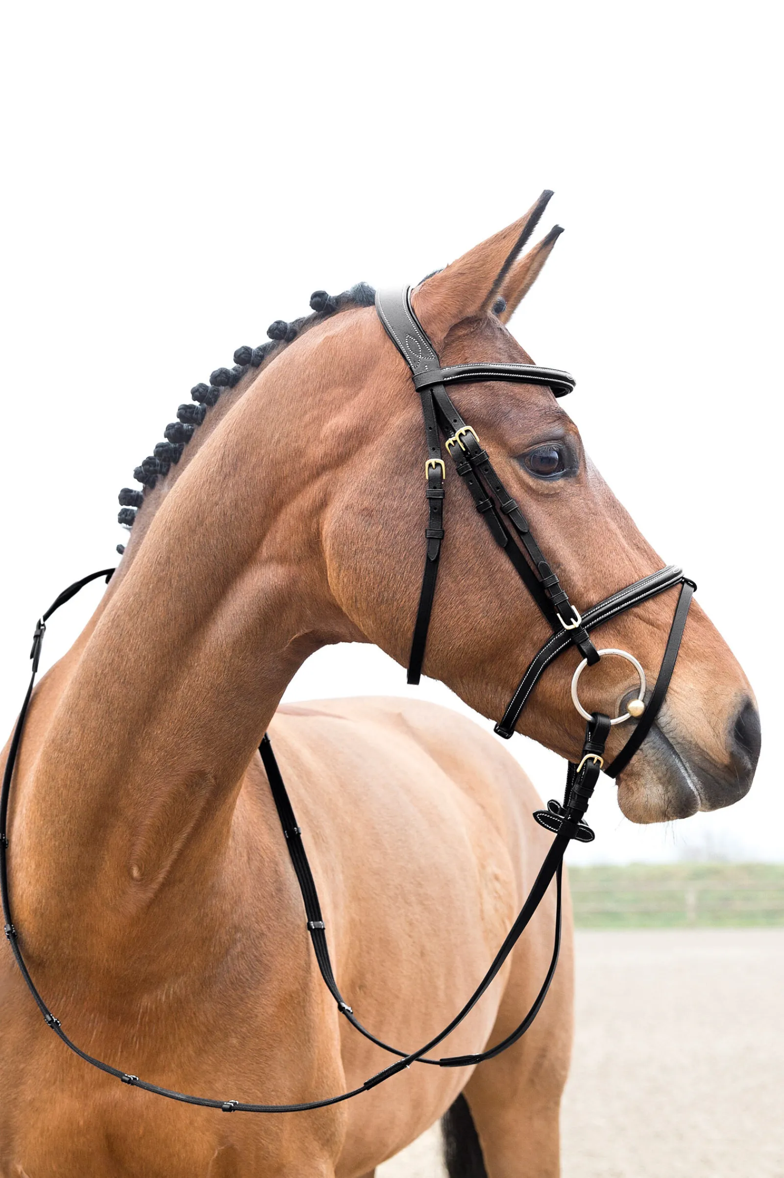 Best Constance polstret hodelag med flash-nesereim Hodelag & Nesereimer