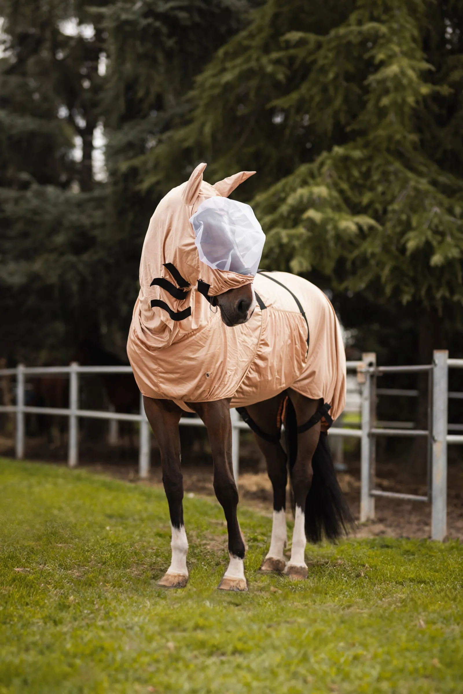 Outlet Cover eksem-maske Eksemdekken|Eksemdekken