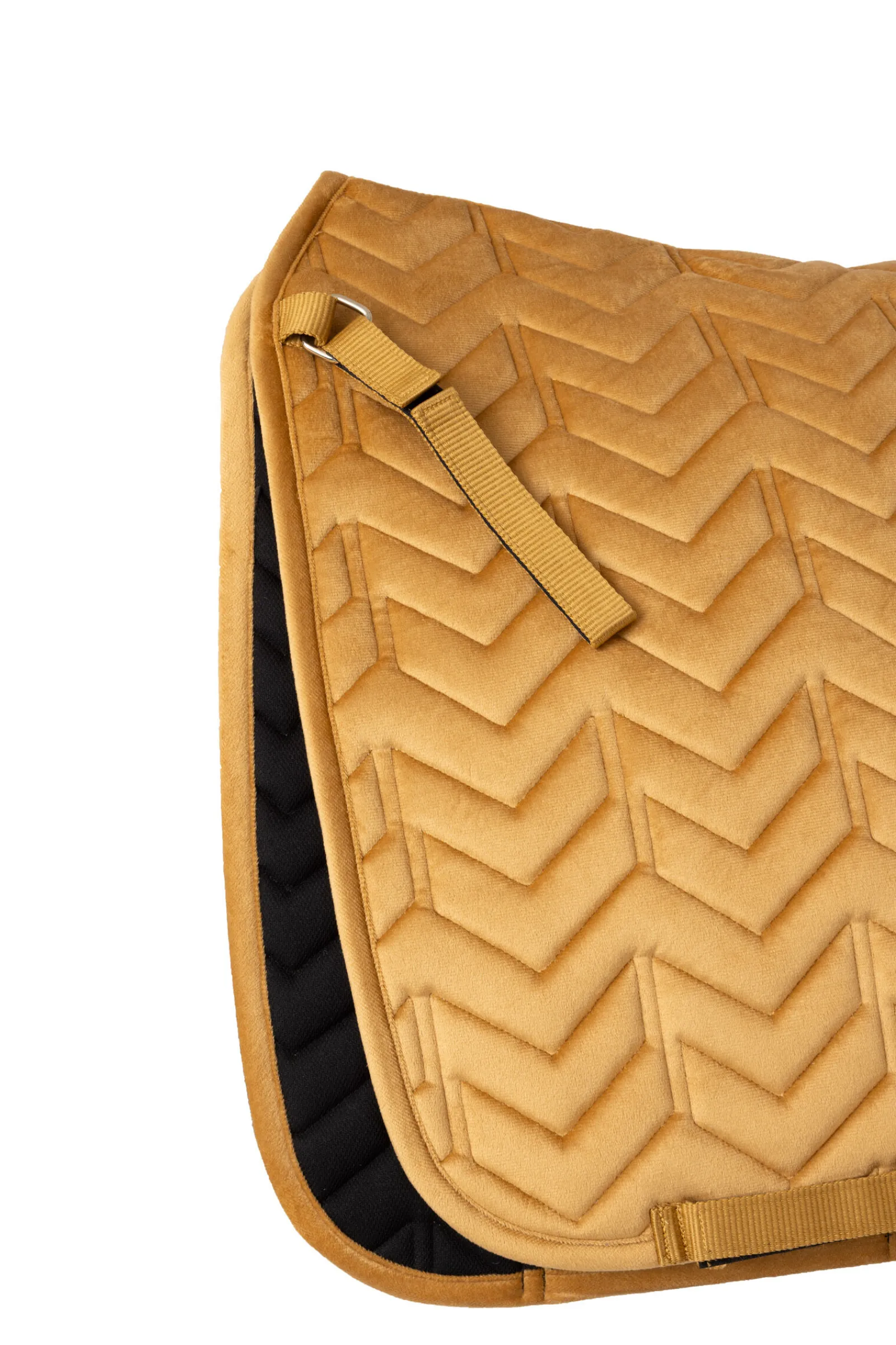 Outlet Delémont dressyrpad Dressursjabraker