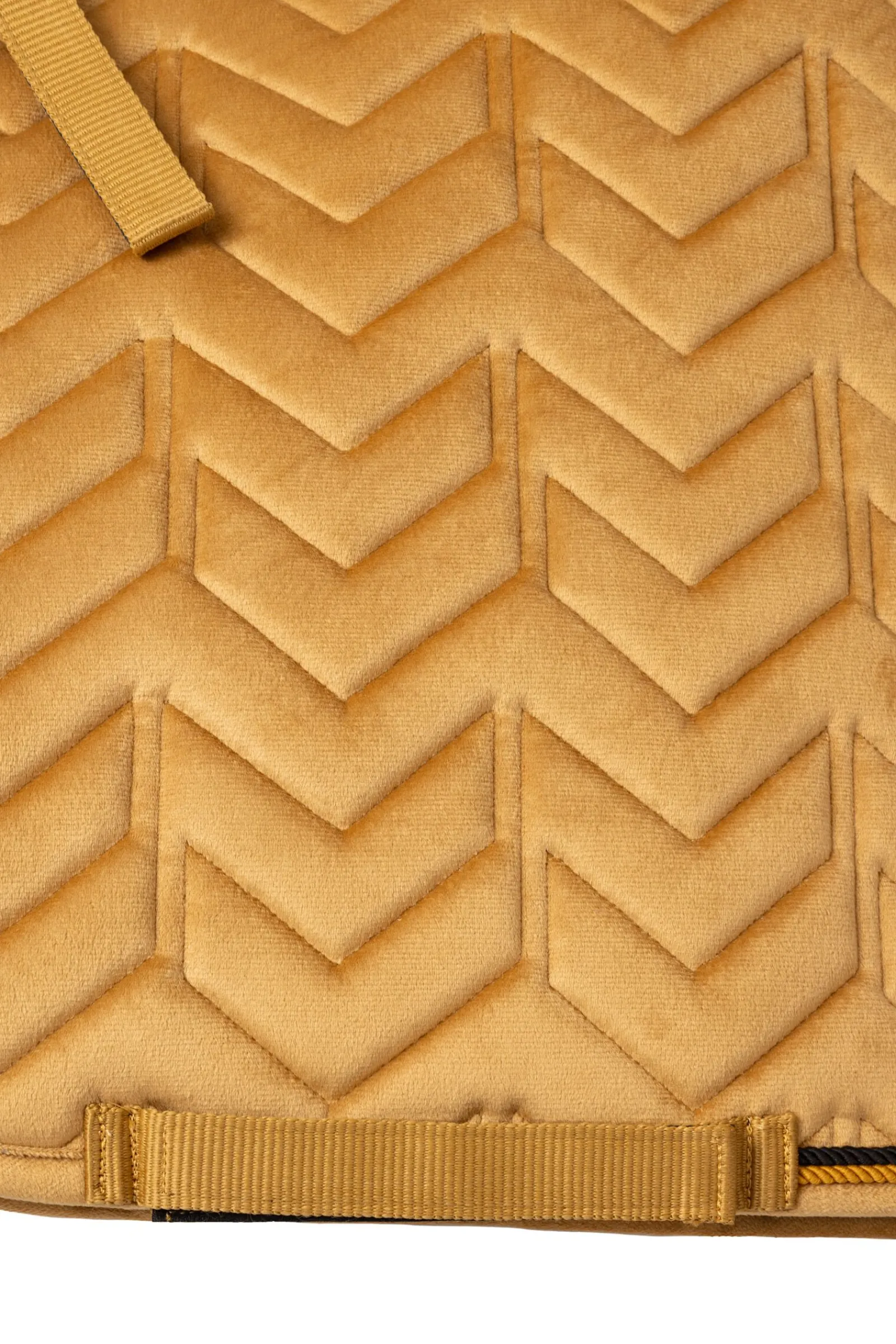 Outlet Delémont dressyrpad Dressursjabraker