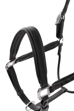 Hot Delémont lærgrime Grimer