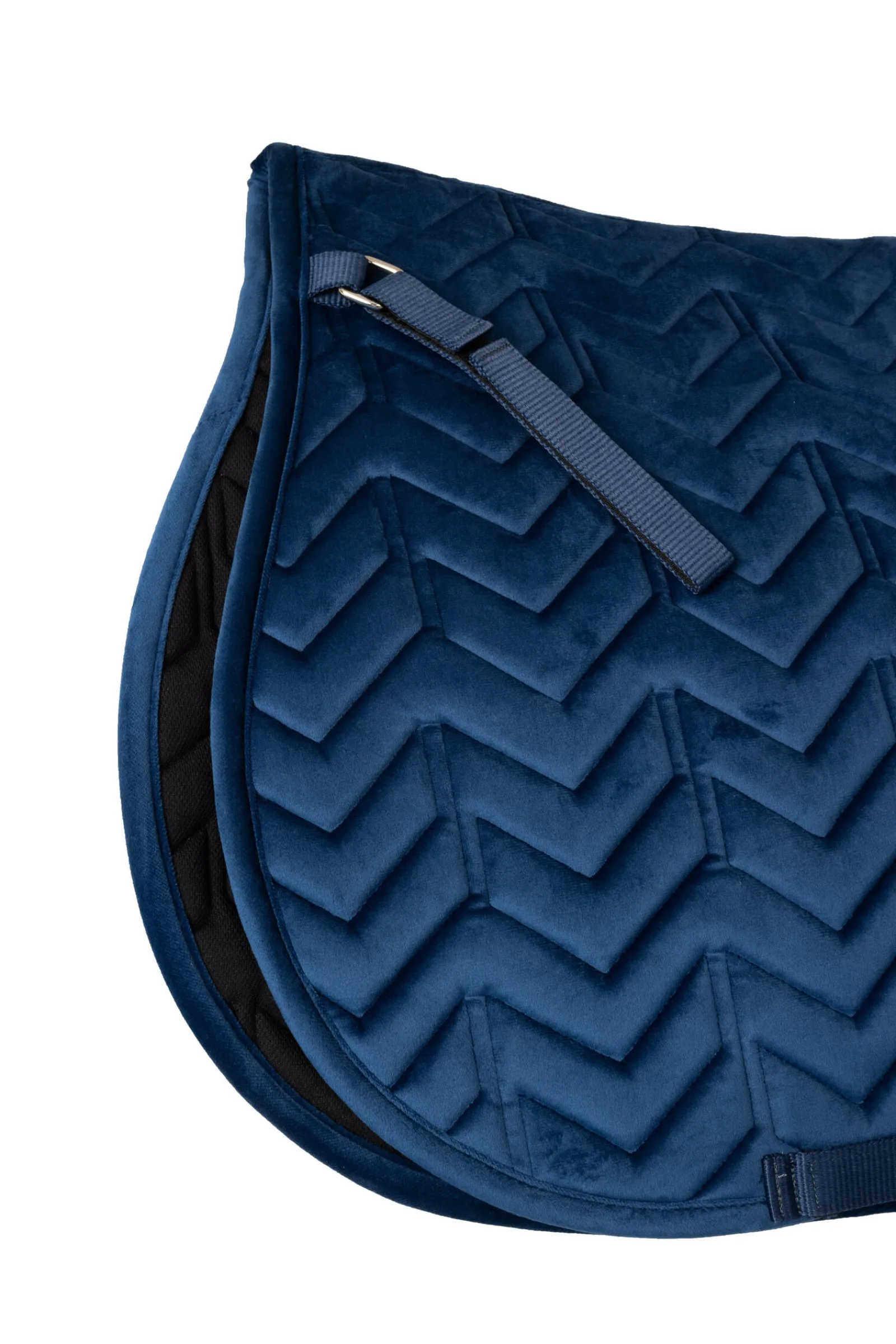 New Delémont VS schabrak Ponni Sjabrak|Allround- Og Sprangsjabraker