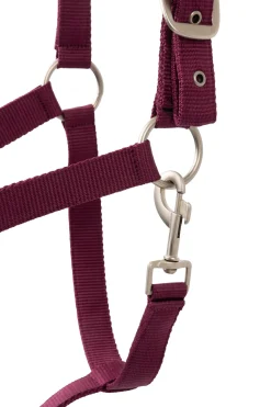 Best Eternal Gaze Grimesett Grimer