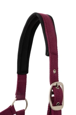 Best Eternal Gaze Grimesett Grimer