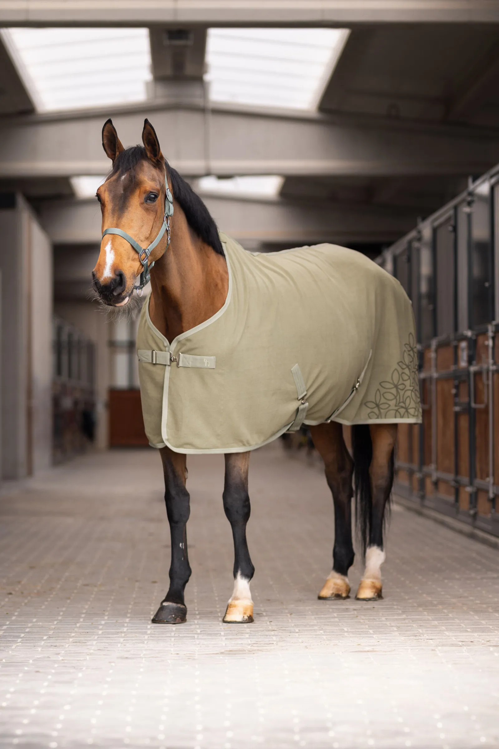 Best Fanciful Nature fleece cooler Ulldekken Og Svettedekken