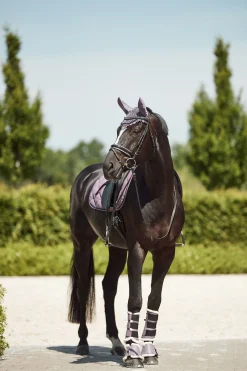Sale Ghent stryksokker med fuskepels Belegg Til Hest